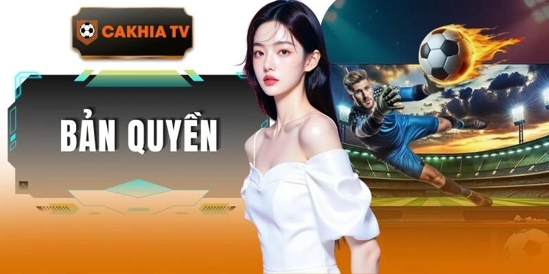 Bản Quyền - Bảo Vệ Nội Dung Và Quyền Sở Hữu Hệ Thống